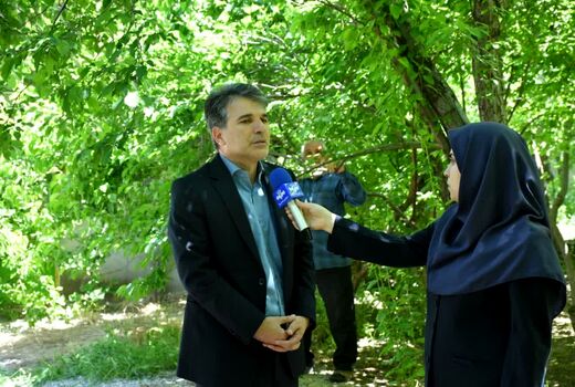 رتبه دوم آذربایجان شرقی در تولید گوجه سبز در کشور
