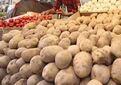 ممنوعیت صادرات سیب‌زمینی پیاز و گوجه‌فرنگی در فارس