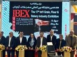  ٦٧ هزار میلیارد ریال تسهیلات برای توسعه زنجیره گندم، آرد و نان پرداخت شد
