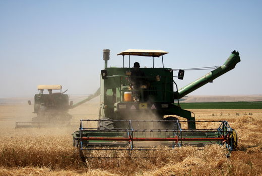 سازگاری با اکوسیستم کشاورزی سنتی را نجات خواهد داد