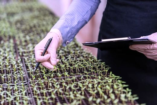 طرح «یاوران تولید» مقدمه کشاورزی علمی است