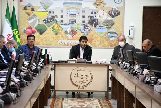 استفاده از ظرفیت شرکتهای دانش بنیان برای تولید محصولات کشاورزی سالم 