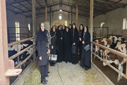 بازدید مدیرکل امور زنان و خانواده استانداری آذربایجان غربی از مزرعه نوآور دام بانوی کارآفرین 