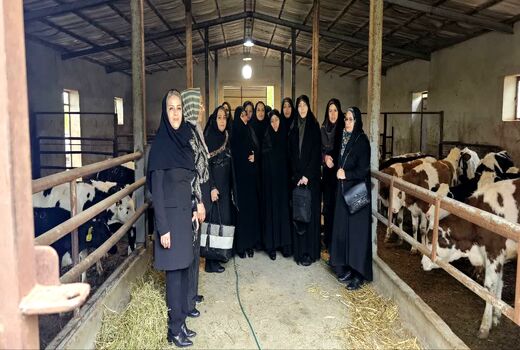 بازدید مدیرکل امور زنان و خانواده استانداری آذربایجان غربی از مزرعه نوآور دام بانوی کارآفرین 