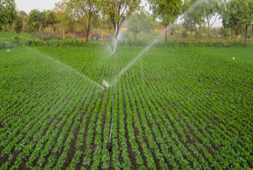 اجرای 906 هکتار آبیاری نوین در استان از ابتدای سال جاری