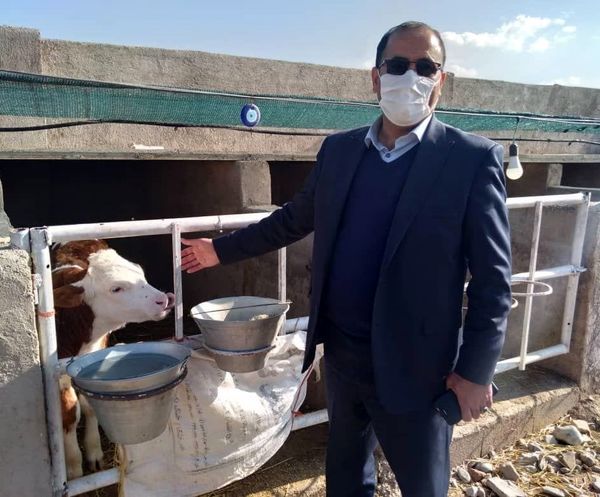 بازدید رئیس سازمان جهاد کشاورزی لرستان از روند تهیه، توزیع و تولید نهادهای دامی در شهرستان خرم آباد