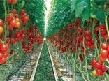 راه‌اندازی دو شهرک گلخانه‌ای در بیله سوار