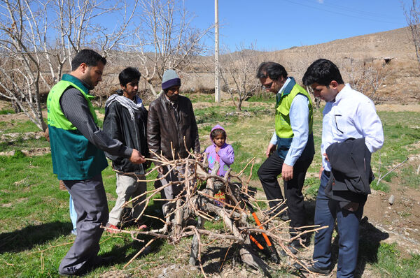 نظارت مستمر بر روند تولید محصولات کشاورزی در سیستان و بلوچستان