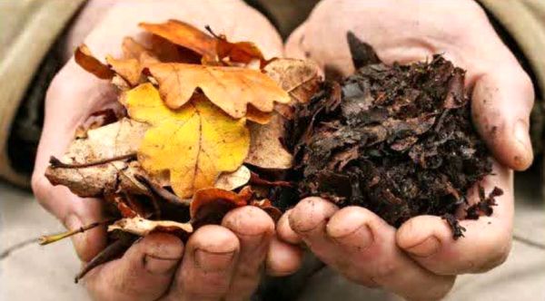 تولید و مصرف کمپوست؛ راهکار اصلی افزایش حاصلخیزی و بهره‌وری مزارع و باغات استان