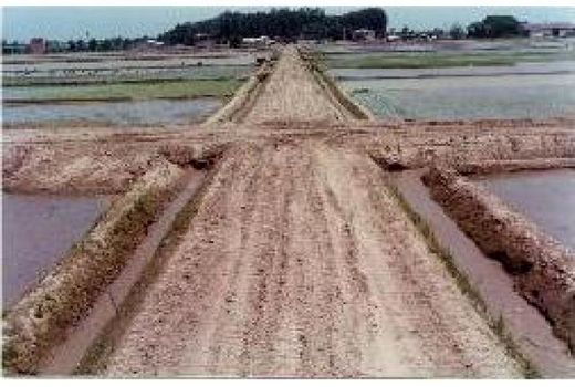 1500 هکتار شالیزار نور تجهیز و نوسازی شد