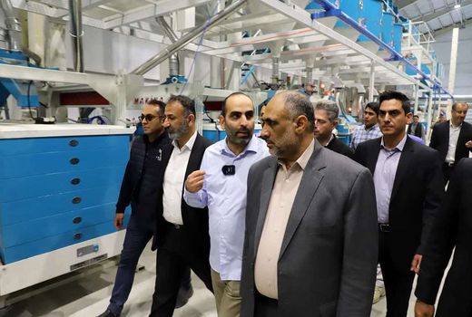 نوسازی شالیکوبی‌ها موجب افزایش راندمان و ارتقای کیفیت برنج تولیدی می‌شود