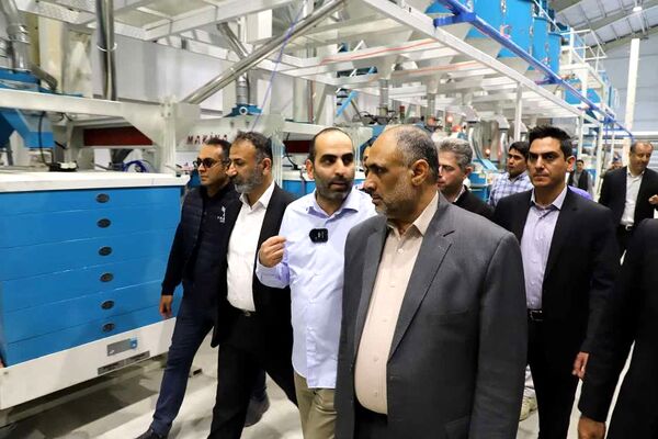 نوسازی شالیکوبی‌ها موجب افزایش راندمان و ارتقای کیفیت برنج تولیدی می‌شود