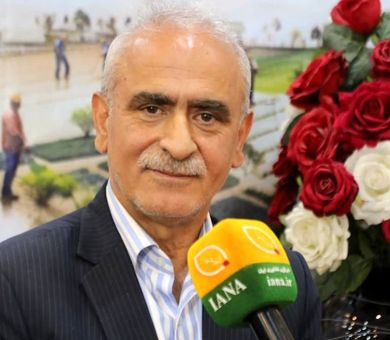روستابازارها به باراندازهای تنظیم بازار مجهز می‌شوند/ برنامه تعاون روستایی برای مهار افت قیمت محصولات کشاورزی