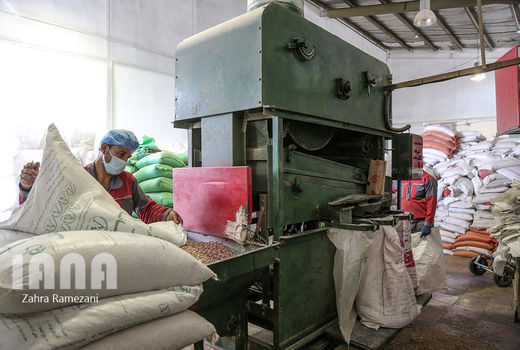 کارخانه بسته بندی مواد غذایی 