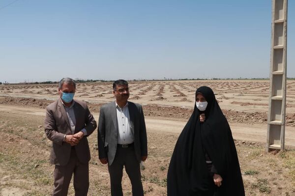 عملیات ساخت فاز نخست گلخانه ۵۰ هکتاری در آبیک آغاز شد