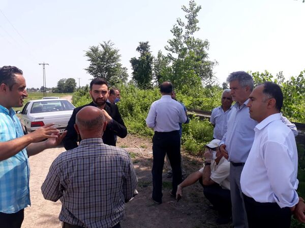 بازدید از مزارع روستای پاشاکی بالا در شهرستان لاهیجان
