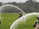  باران در راه است/ فرصت کوتاه برای کوددهی پیش از بارش