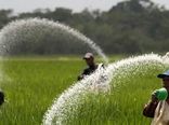  باران در راه است/ فرصت کوتاه برای کوددهی پیش از بارش