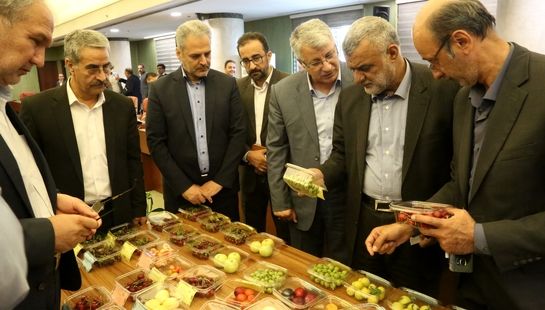 نشست وزیر جهاد کشاورزی با روسای موسسات تحقیقاتی کشاورزی