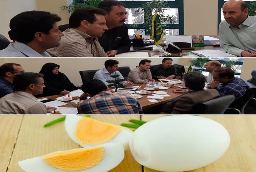 سرانه مصرف تخم مرغ  در کشور ۱۹۰ تا ۲۰۰ عدد است