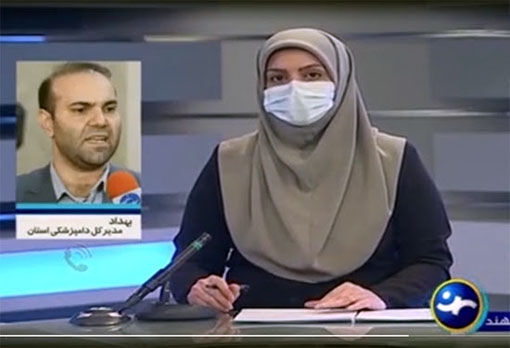 مشاهده بیماری آنفلوانزای فوق حاد پرندگان در تبریز