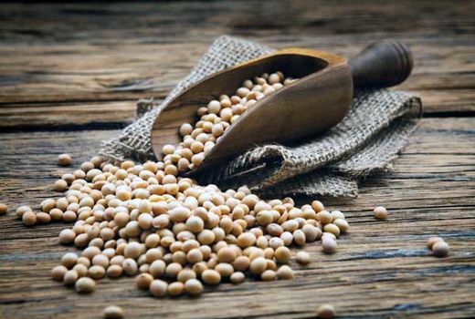 خرید تضمینی سویا از 15 هزار تن گذشت 