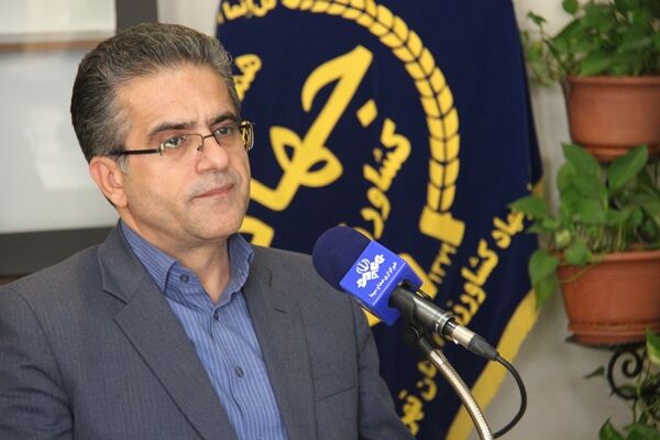 16 درصد تخم مرغ کشور در استان تهران تولید می‌شود