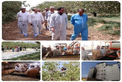 بازدید رییس سازمان جهاد کشاورزی استان قزوین از شرکت تولیدی سیمرغ بویین زهرا