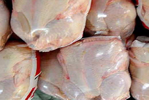 مرغ‌های تولیدی در استان سمنان باقیمانده دارویی ندارد