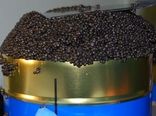 پیش‌بینی افزایش 1.5 تنی خاویار در سال جاری/ همکاری با آلمان، نروژ و دانمارک برای تولید صنعتی صادرات‌گرا