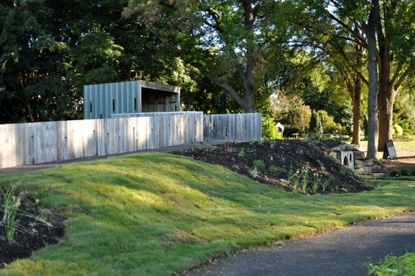 مکانی برای آشنایی کودکان با درختان و نگهداری از آنها