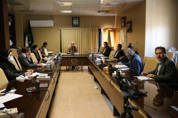 مبارزه با آفت سن در ۹۶ هزار هکتار اراضی کردستان انجام شد