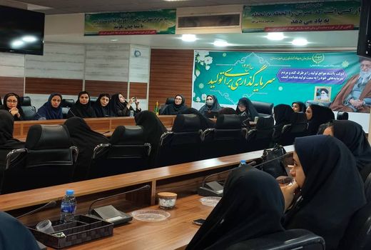 بازار دیجیتال، گامی نو در توسعه پایدار روستاها / بازدید مشاور وزیر از طرح‌های موفق خرمشهر