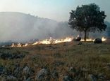 از روشن کردن آتش در طبیعت خودداری کنید 