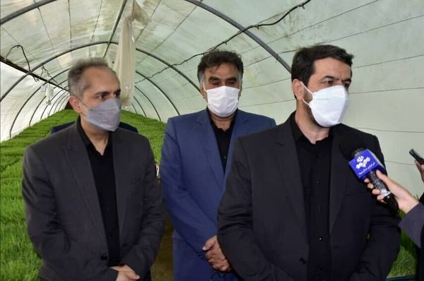 توسعه کشت علوفه هیدروپونیک در خراسان جنوبی 