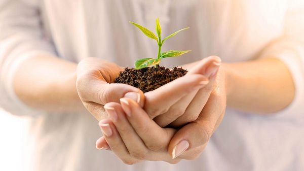 عوامل موفقیت طرح‌های آموزشی برای زنان روستایی