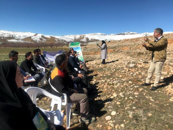 کاروان ترویجی در سپیدان با محوریت گیاهان دارویی برگزار شد