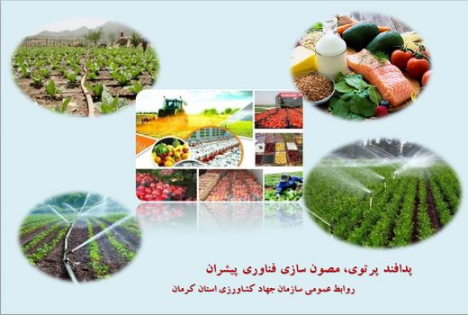 آغاز مانور سراسری مقابله با عرضه آفت کش های غیرمجاز و تقلبی در استان کرمان