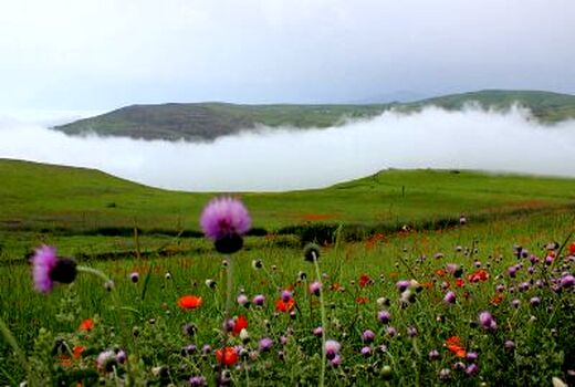 لزوم رصد مستمر مناطق بحرانی حریق/ از انتقاد سازنده استقبال می‌کنیم 