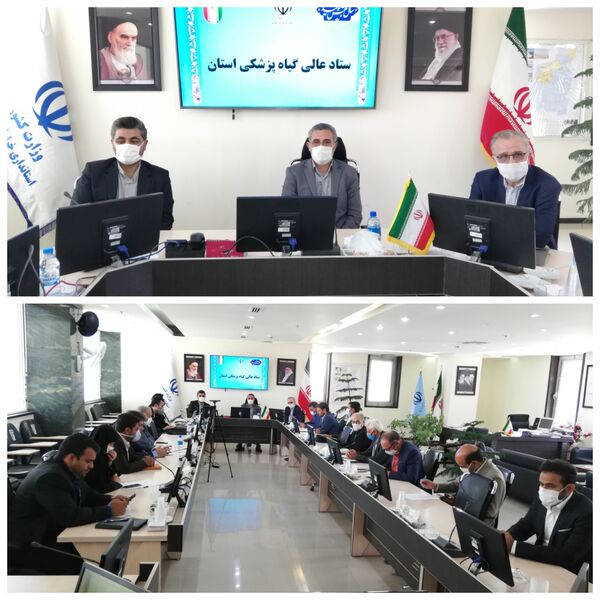 نیاز به بسیج همگانی برای مبارزه با ملخ صحرایی