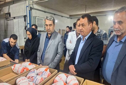 خرید ۱۸۰ تن مرغ مازاد برای ذخایر راهبردی کهگیلویه و بویراحمد در آستانه نوروز و رمضان