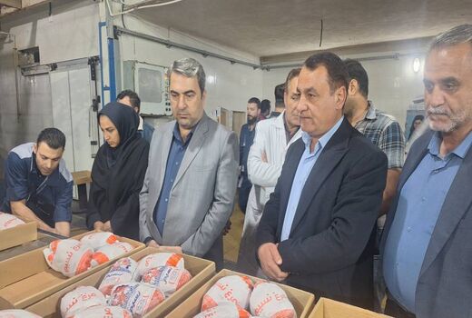 خرید ۱۸۰ تن مرغ مازاد برای ذخایر راهبردی کهگیلویه و بویراحمد در آستانه نوروز و رمضان