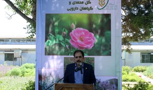 برگزاری تور آموزشی و فناورانه گل محمدی و گیاهان دارویی در مرکز تحقیقات کشاورزی قزوین