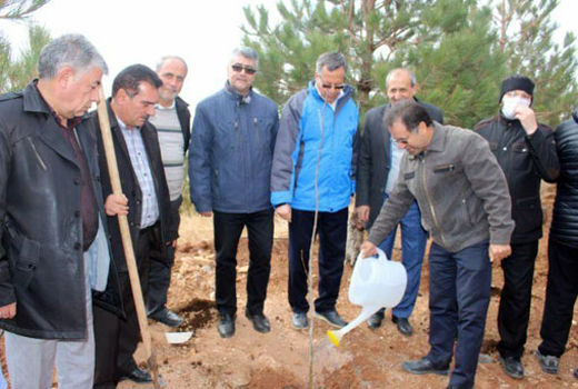 کاشت ۱۲ هزار نهال و توسعه ۲۰ هکتار جنگلکاری در تفرجگاه عینالی تبریز آغاز شد