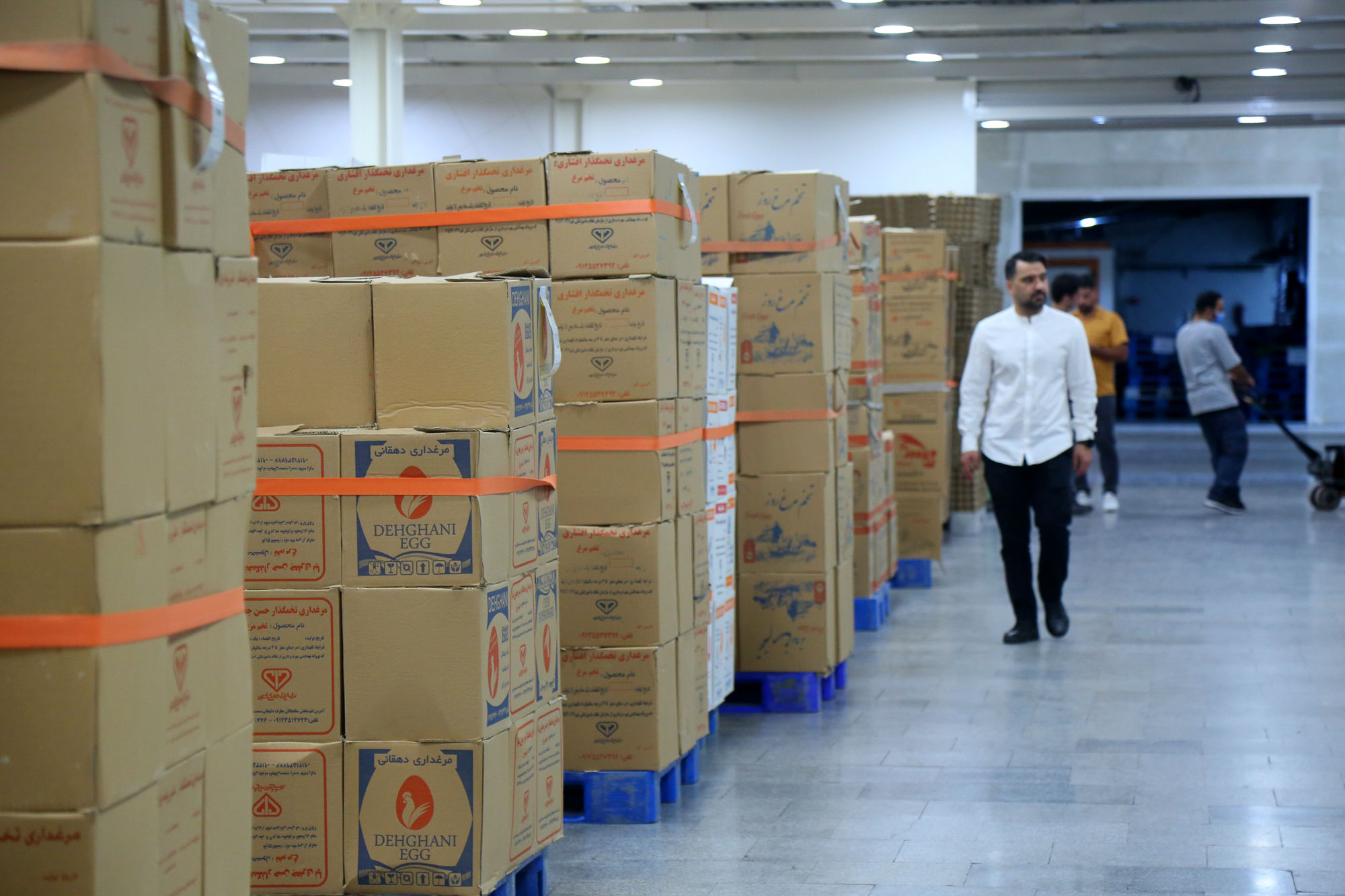 تور رسانه ای به مناسبت هفته دامپزشکی 