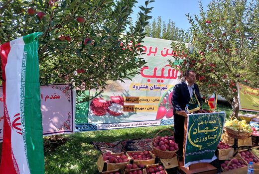 جشن برداشت سیب در دهستان آتش بیگ شهرستان هشترود برگزار شد