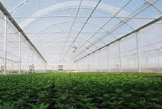 احداث شهرک گلخانه‌ای در ایذه