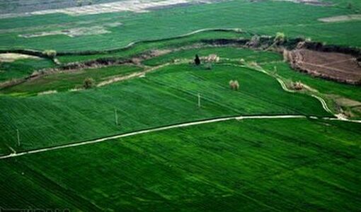 وصول ۶۸۱ میلیارد ریال عوارض اراضی کشاورزی فارس در نیمه نخست امسال
