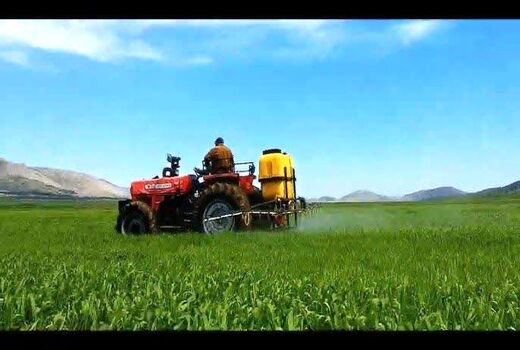 مبارزه با علف‌های هرز در بیش از ۲۳ هزار هکتار از مزارع غلات کهگیلویه و بویراحمد