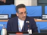 بدون مجازات متجاوزان نمی‌توان برای امنیت ‏غذایی تلاش کرد/ ضرورت حفظ انصاف، آزادگی و استقلال فائو